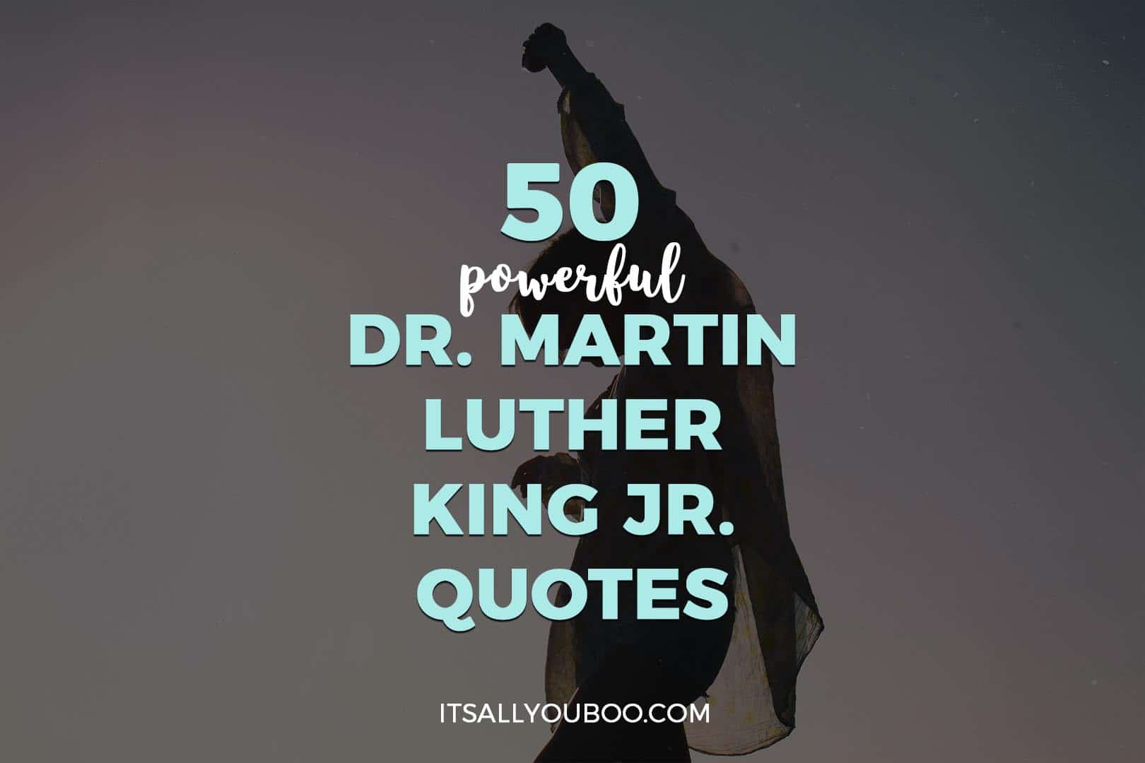 Character Martin Luther King Jr Quotes For Kids