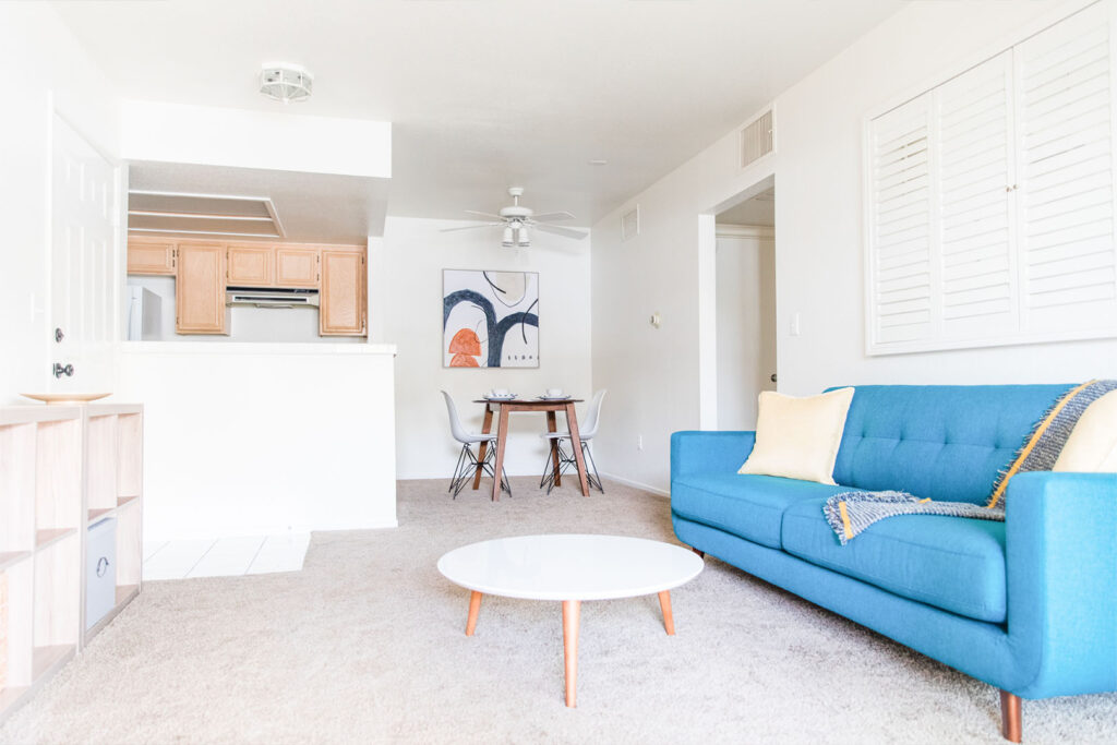 A Neat and Tidy Minimalist Home