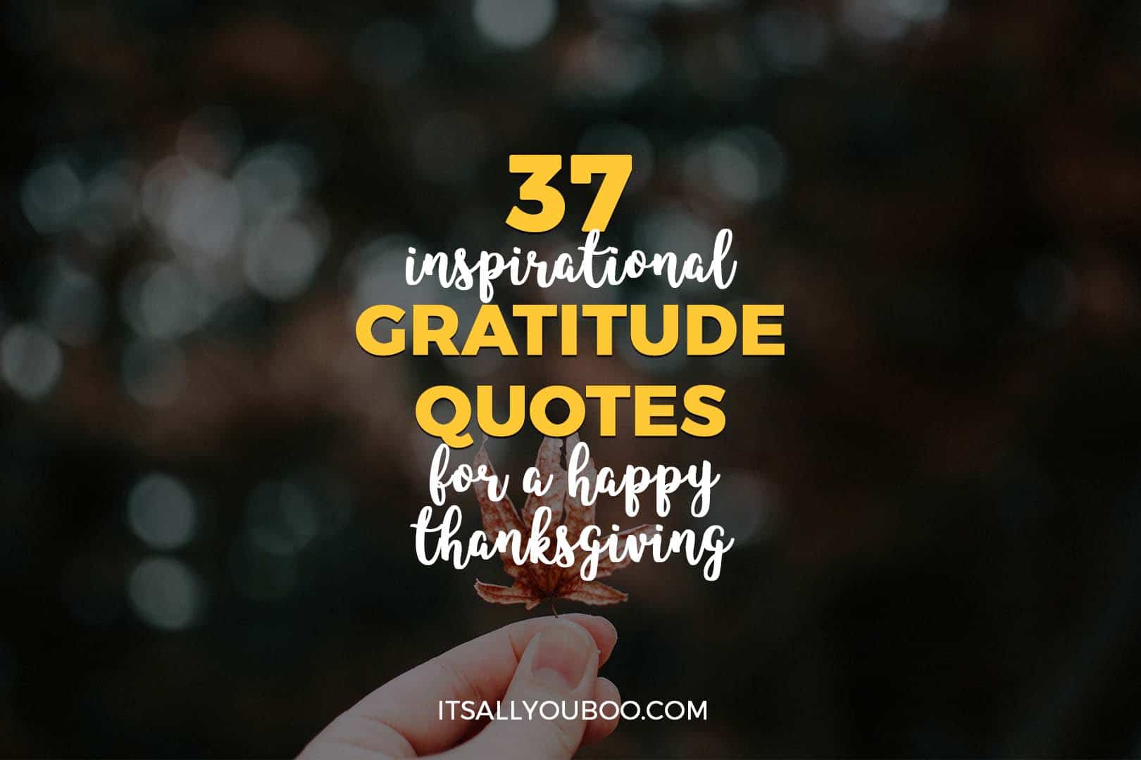 60 Gratitude Quotes And Inspirational Sayings About Being Thankful