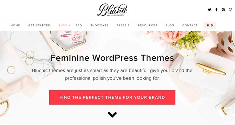 Best Affordable WordPress Themes for Beginners - BluChi