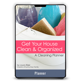 Get Your House Clean and Organized