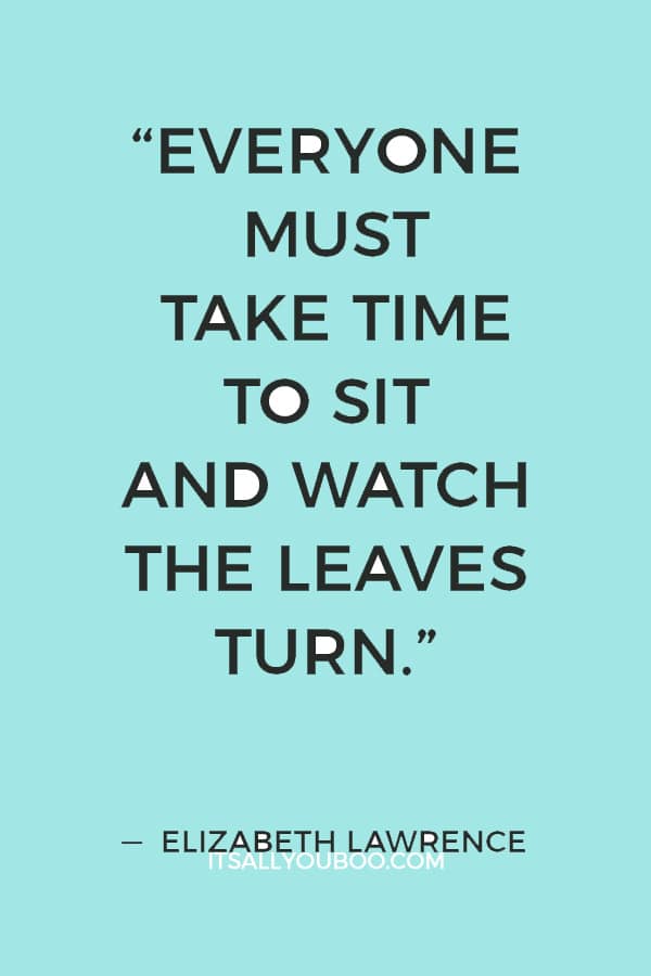 “Everyone must take time to sit and watch the leaves turn.” ―  Elizabeth Lawrence