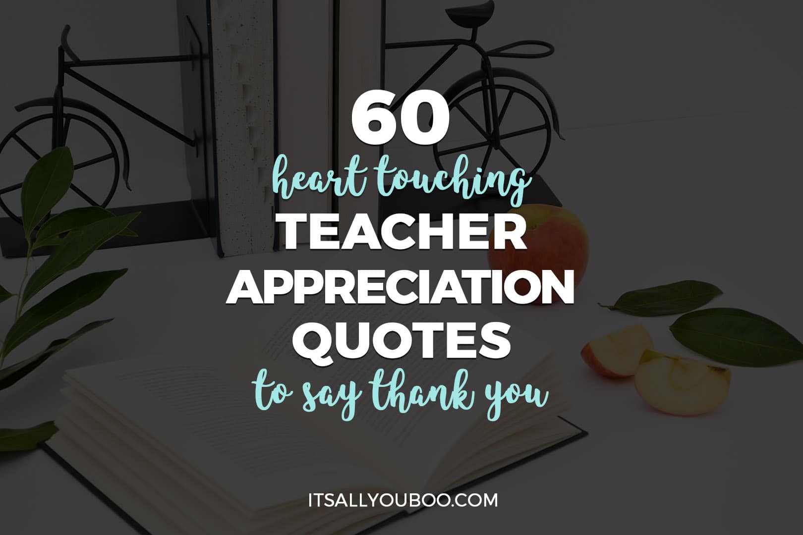 thank you quotes for teachers