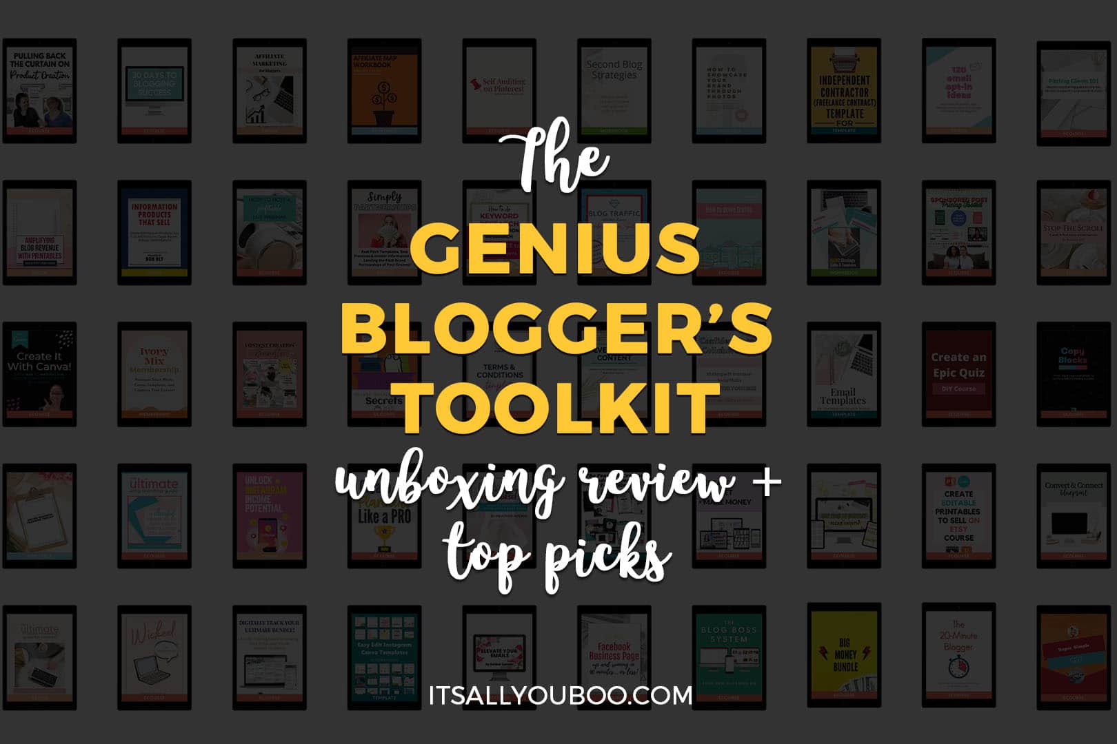 The Genius Blogger's Toolkit 2021 Review