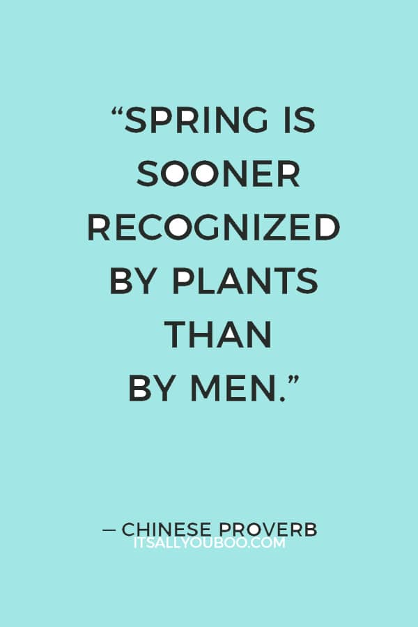 “Spring is sooner recognized by plants than by men.” ― Chinese Proverb