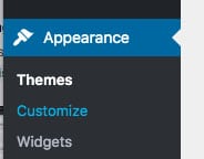 where to click to customize your logo in the WordPress backend