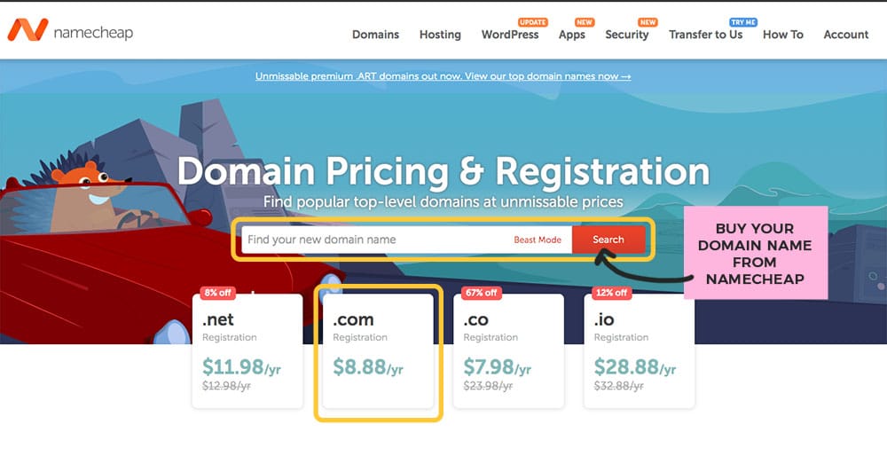 buying a domain from namecheap