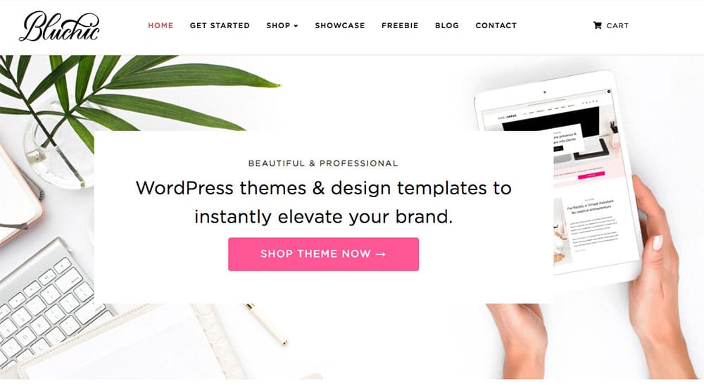 shop premium themes with BluChic