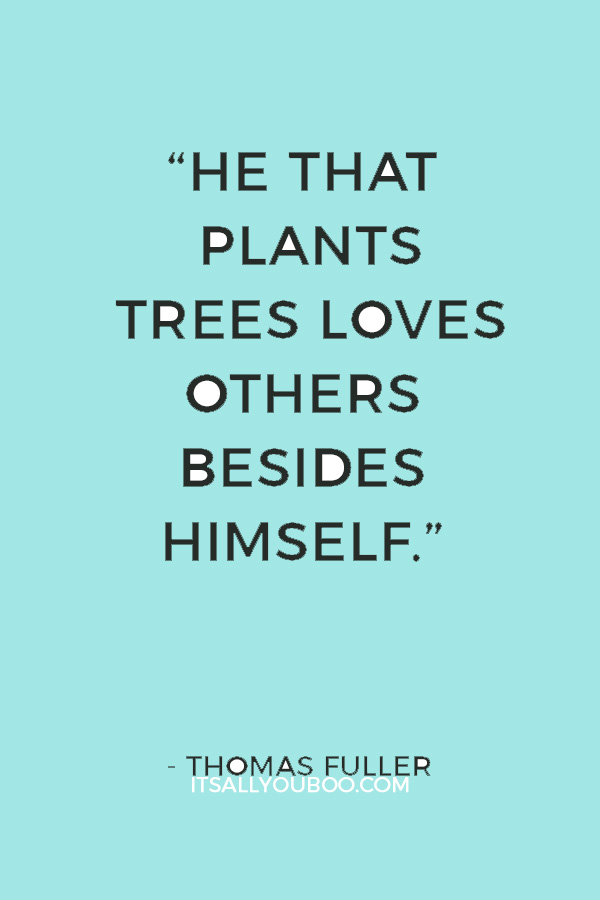 “He that plants trees loves others besides himself.” — Thomas Fuller