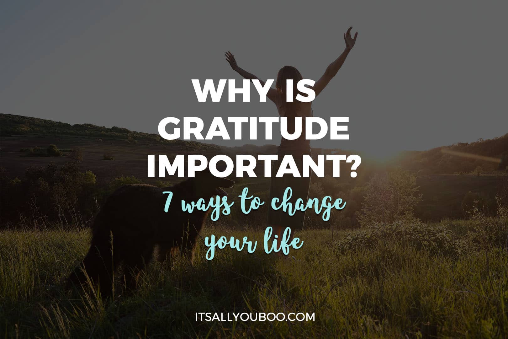 Why Is Gratitude Important 7 Ways To Change Your Life