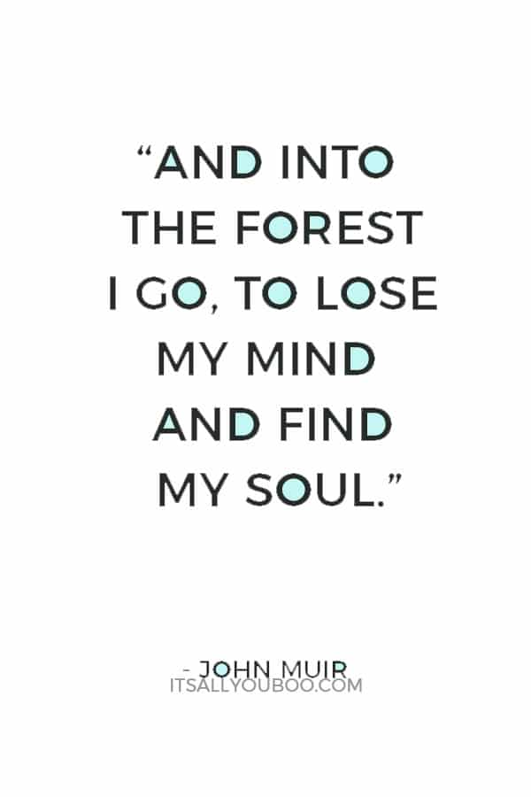 “And into the forest I go, to lose my mind and find my soul.” – John Muir