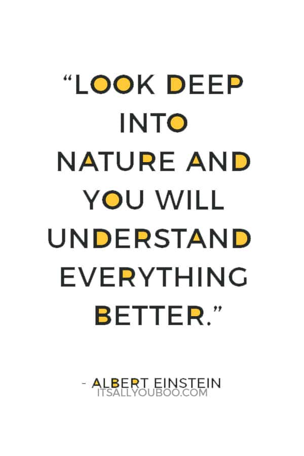 “Look deep into nature and you will understand everything better.” – Albert Einstein