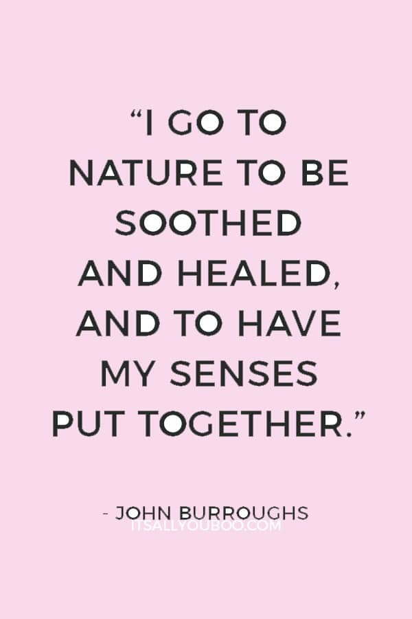 “I go to Nature to be soothed and healed, and to have my senses put together.” – John Burroughs