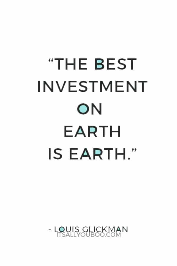 “The best investment on Earth is earth.” ― Louis Glickman