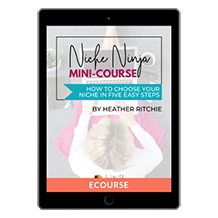 The Niche Ninja Mini-Course