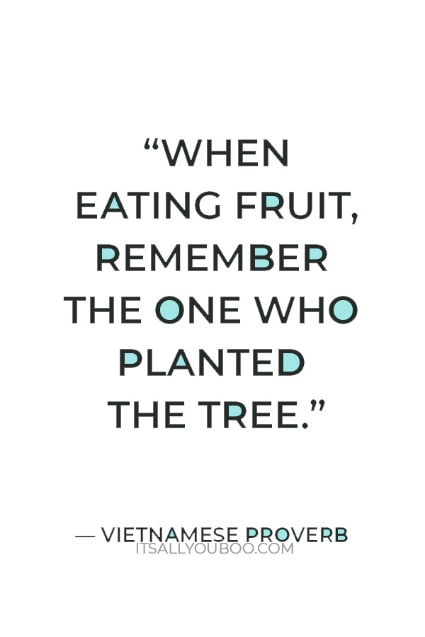 “When eating fruit, remember the one who planted the tree.” — Vietnamese Proverb