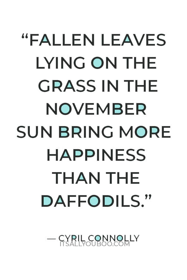 “Fallen leaves lying on the grass in the November sun bring more happiness than the daffodils.” — Cyril Connolly
