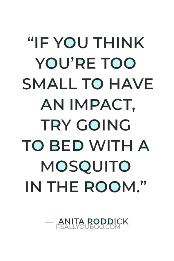 “If you think you’re too small to have an impact, try going to bed with a mosquito in the room.” — Anita Roddick