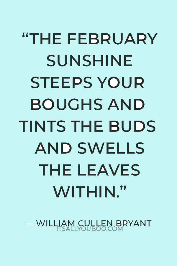 “The February sunshine steeps your boughs and tints the buds and swells the leaves within.” ― William Cullen Bryant