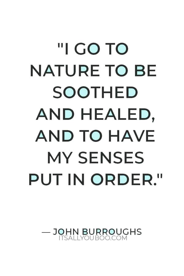 "I go to nature to be soothed and healed, and to have my senses put in order." — John Burroughs