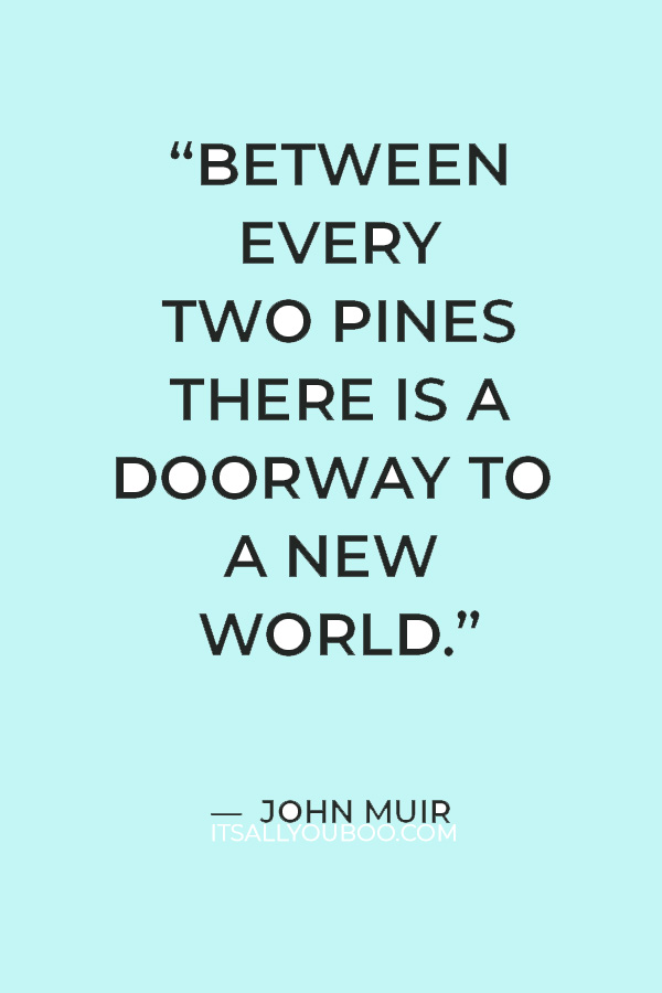 “Between every two pines there is a doorway to a new world.” — John Muir