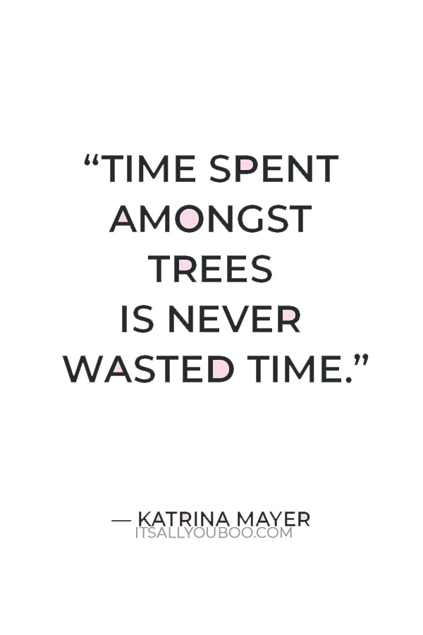 “Time spent amongst trees is never wasted time.” — Katrina Mayer