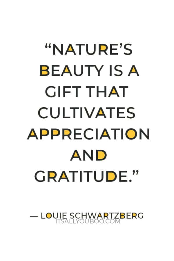 “Nature’s beauty is a gift that cultivates appreciation and gratitude.” — Louie Schwartzberg