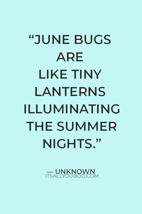 “June bugs are like tiny lanterns illuminating the summer nights.” ― Unknown