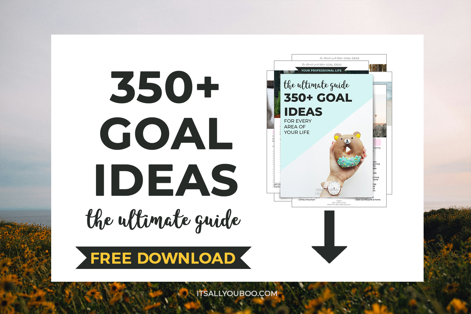 FREE 350+ Goals Guide