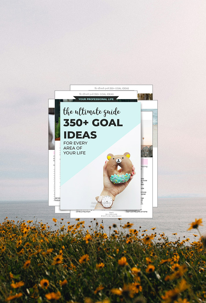 350 Goals Guide Preview Image with a field of flowers as the background.