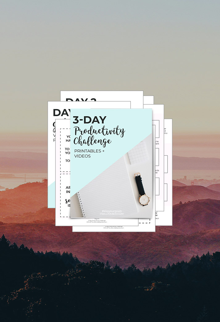 Productivity Challenge Workbook Preview.