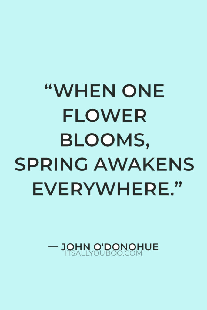 “When one flower blooms, spring awakens everywhere.” — John O'Donohue