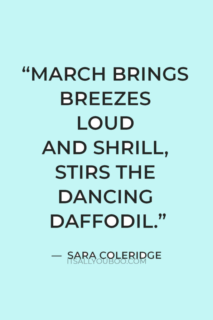 “March brings breezes loud and shrill, stirs the dancing daffodil.” — Sara Coleridge